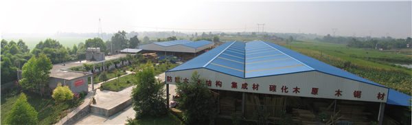 工廠(chǎng)鳥(niǎo)瞰圖